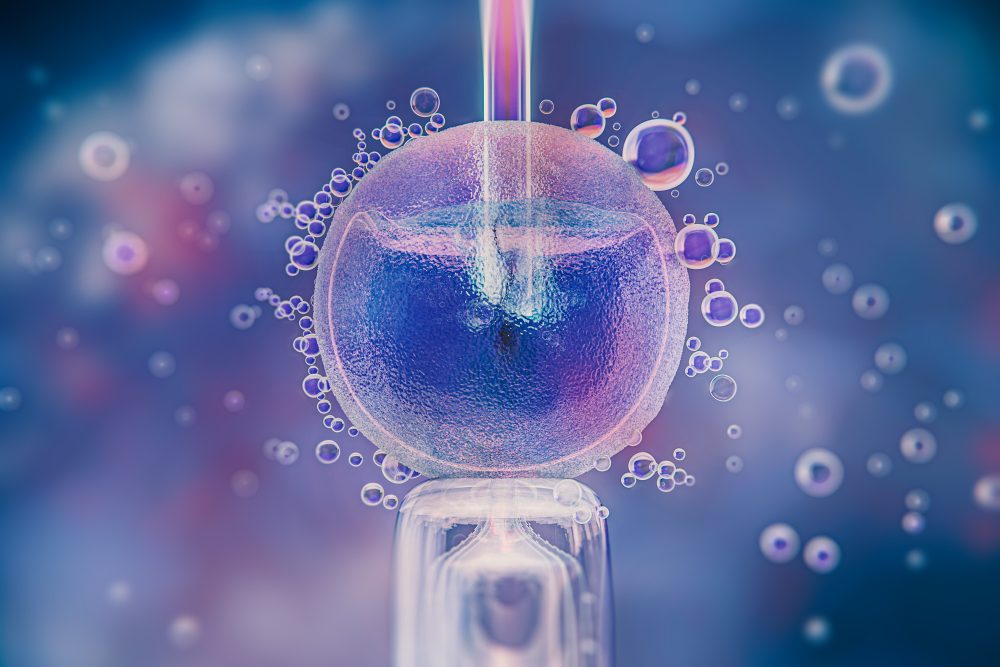 ICSI-Intracytoplasmic-Sperm-Injection.jpg